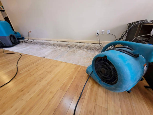 Professional Sewage Cleanup technician working in White Oak, MS